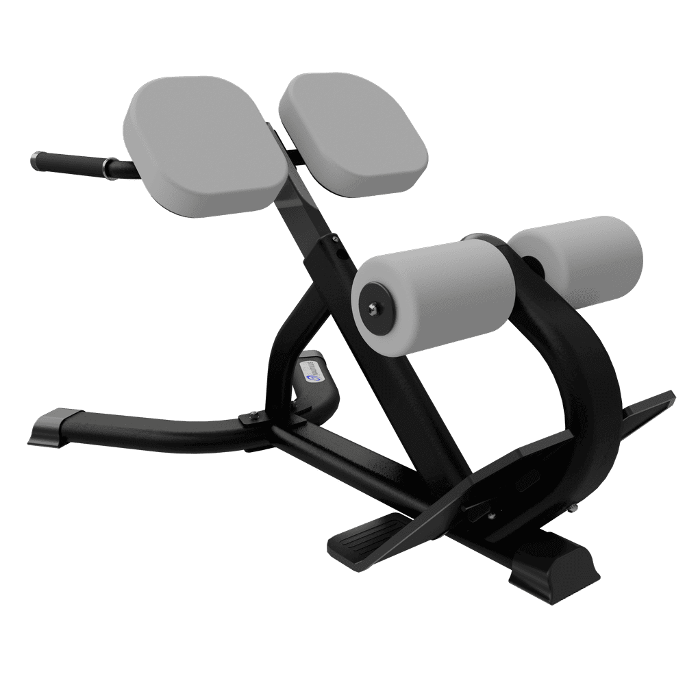 Nautilus Instinct 45Degree Back Extension;Nautilus Instinct 45Degree Back Extension