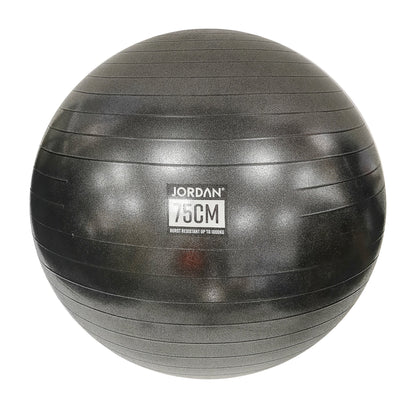 JORDAN 55cm Commercial Fit Ball (Silver) boxed with pump